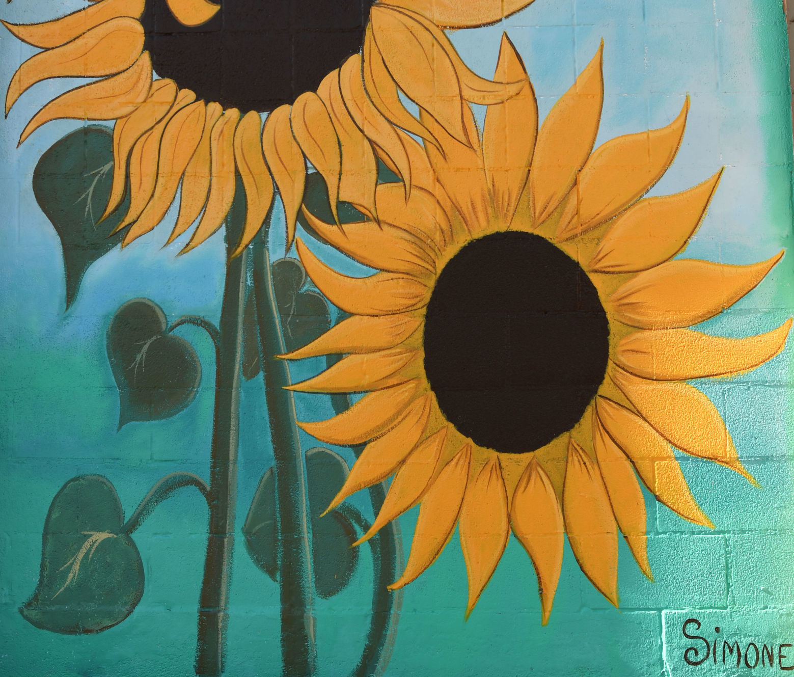 Sunny Sunflowers